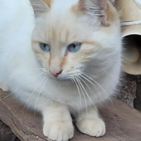 Domaine Du Plan Del Poux Rural 펜션 *