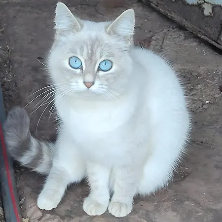 Domaine Du Plan Del Poux Rural