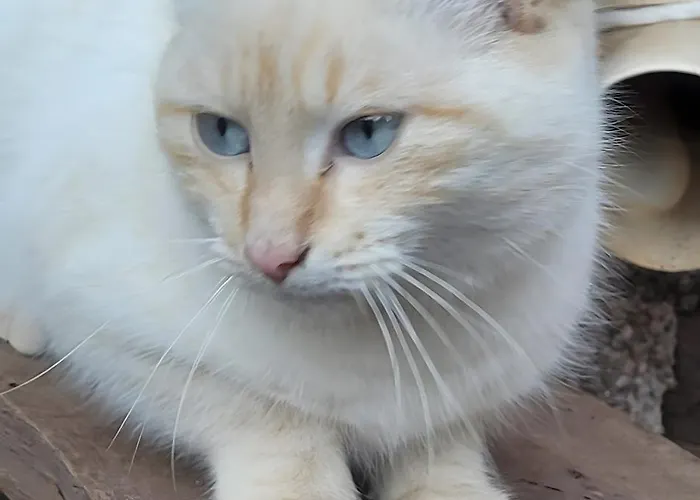 Domaine Du Plan Del Poux Rural Ferienhaus *