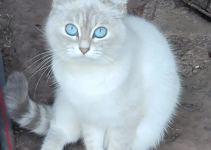 Domaine Du Plan Del Poux Rural